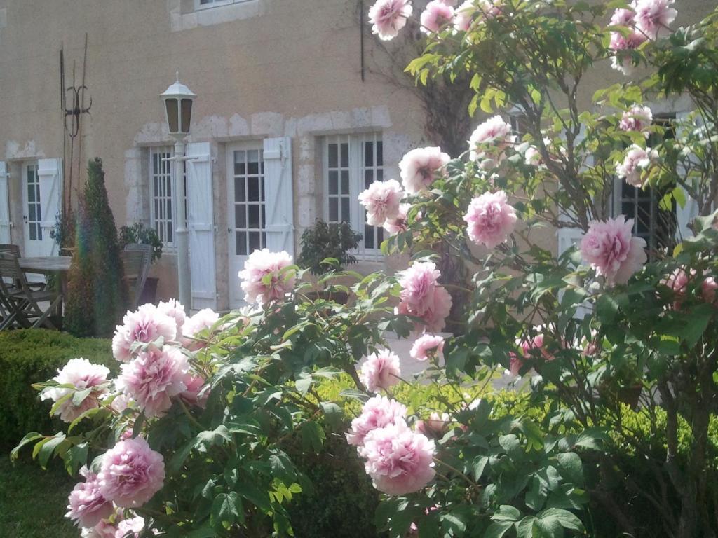 Guest House Le Clos Pasquier บลัวส์ ภายนอก รูปภาพ